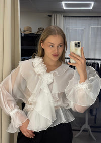 Sheer Ruffle Blouse
